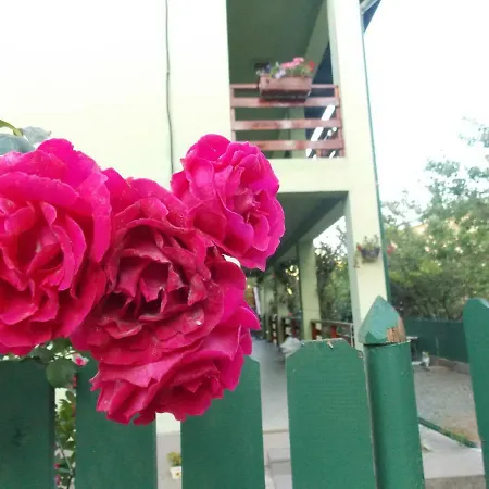 Casa Cu Flori *