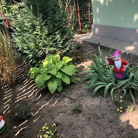 Casa Cu Flori *
