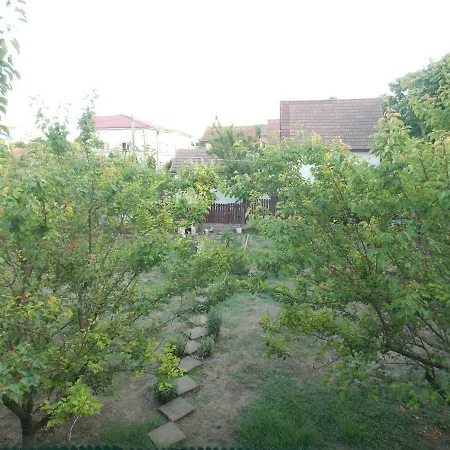 Penzion Casa Cu Flori *