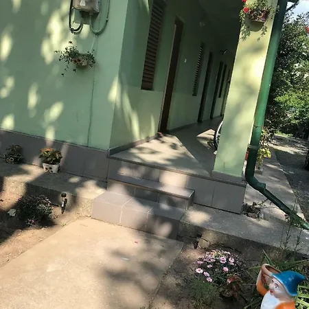 Casa Cu Flori Penzion *