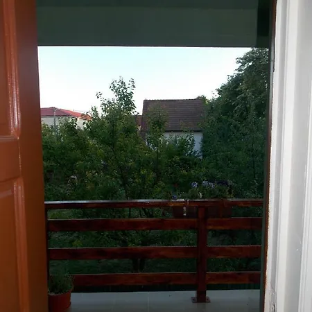 Penzion Casa Cu Flori *