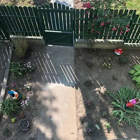 Penzion Casa Cu Flori Techirghiol